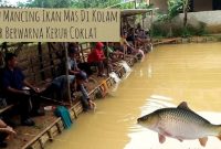 resep umpan ikan mas air keruh racikan umpan ikan mas air keruh umpan mancing ikan mas air keruh umpan ikan mas air keruh cara membuat umpan ikan mas air keruh umpan ikan mas air keruh coklat umpan ikan mas air keruh malam hari umpan pancing ikan mas air keruh umpan mas air keruh cara bikin umpan ikan mas air keruh