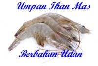 Umpan Ikan Mas Berbahan Udang Paling Jitu