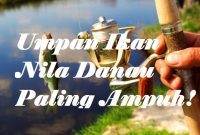 Umpan Ikan Nila Danau Paling Ampuh!