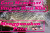 Cara Membuat Umpan Ikan Nila menggunakan Pelet