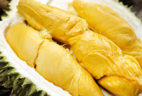 Panduan Lengkap Cara Menanam Pohon Durian Agar Cepat Berbuah