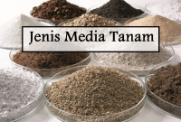 Jenis-Jenis Media Tanam Organik dan Hidroponik